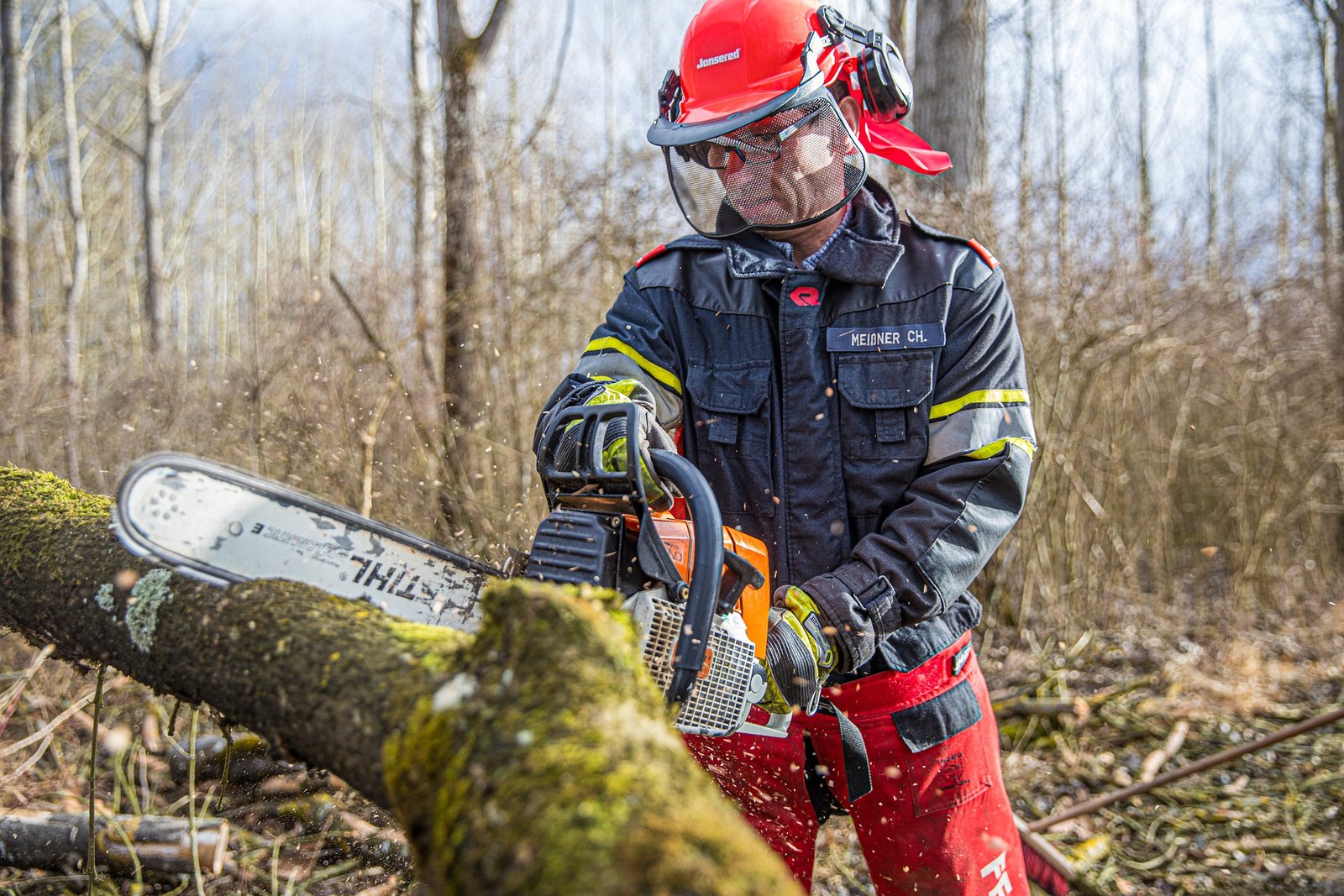 Tree Service in Rochester NY