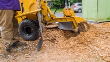 4 Easy Ways To Repurpose Stump Grinding Debris