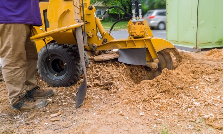 Best Stump Grinding Services in Rochester NY