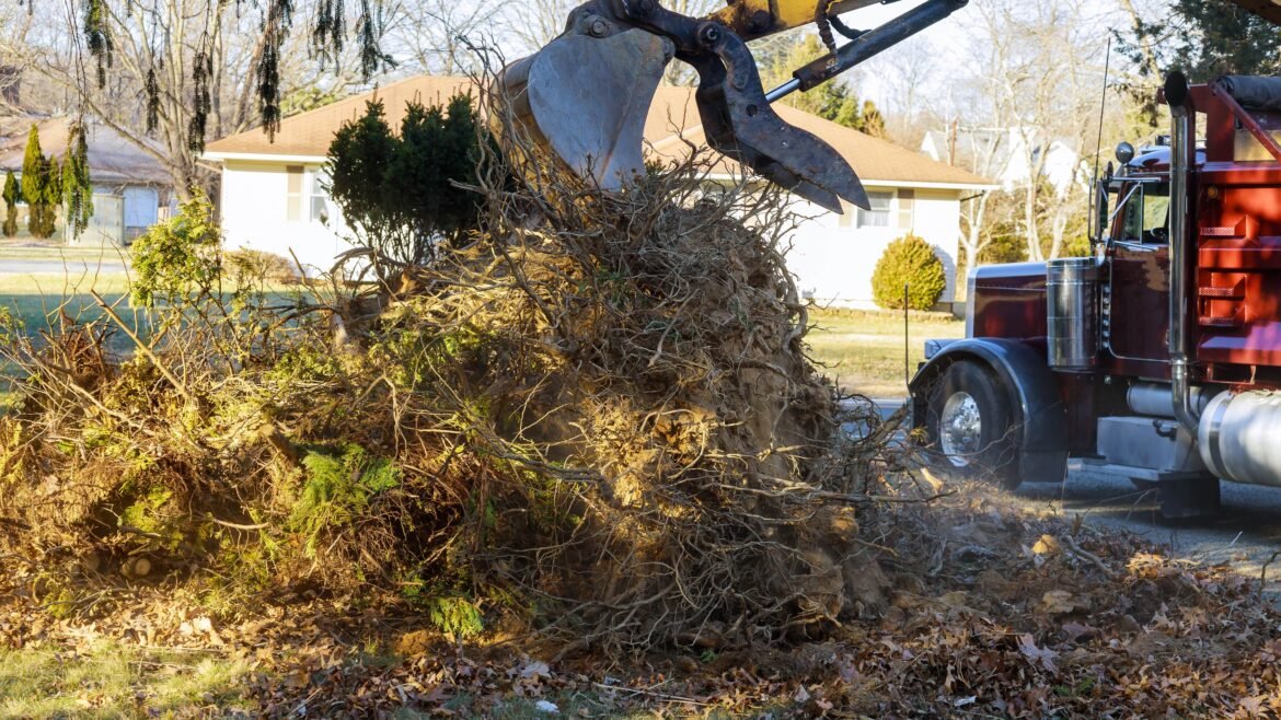 What to Consider When Choosing the Best Stump Grinding Services in Rochester NY