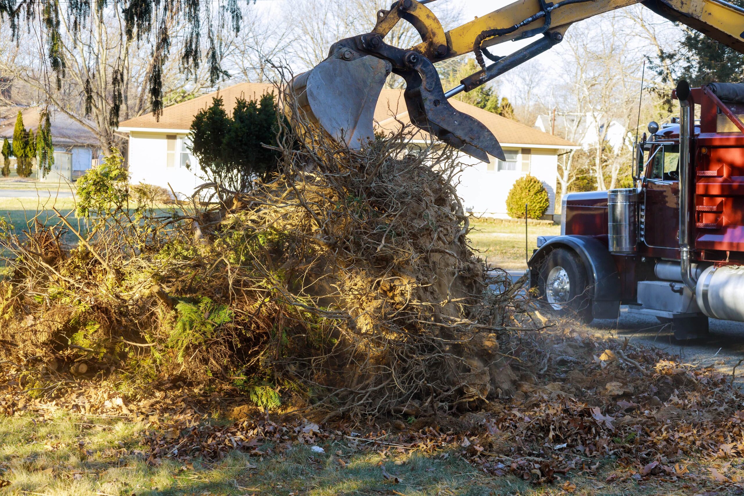 Best Stump Grinding Services in Rochester NY