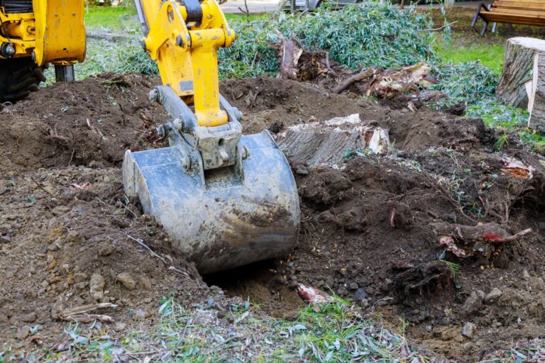 Why Winter is the Ideal Time To Hire The Best Land Clearing Company in Rochester NY