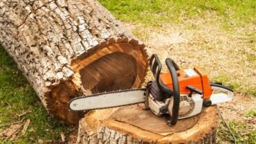 How to Know your Tree Stump is Desperately Calling Out For Help?