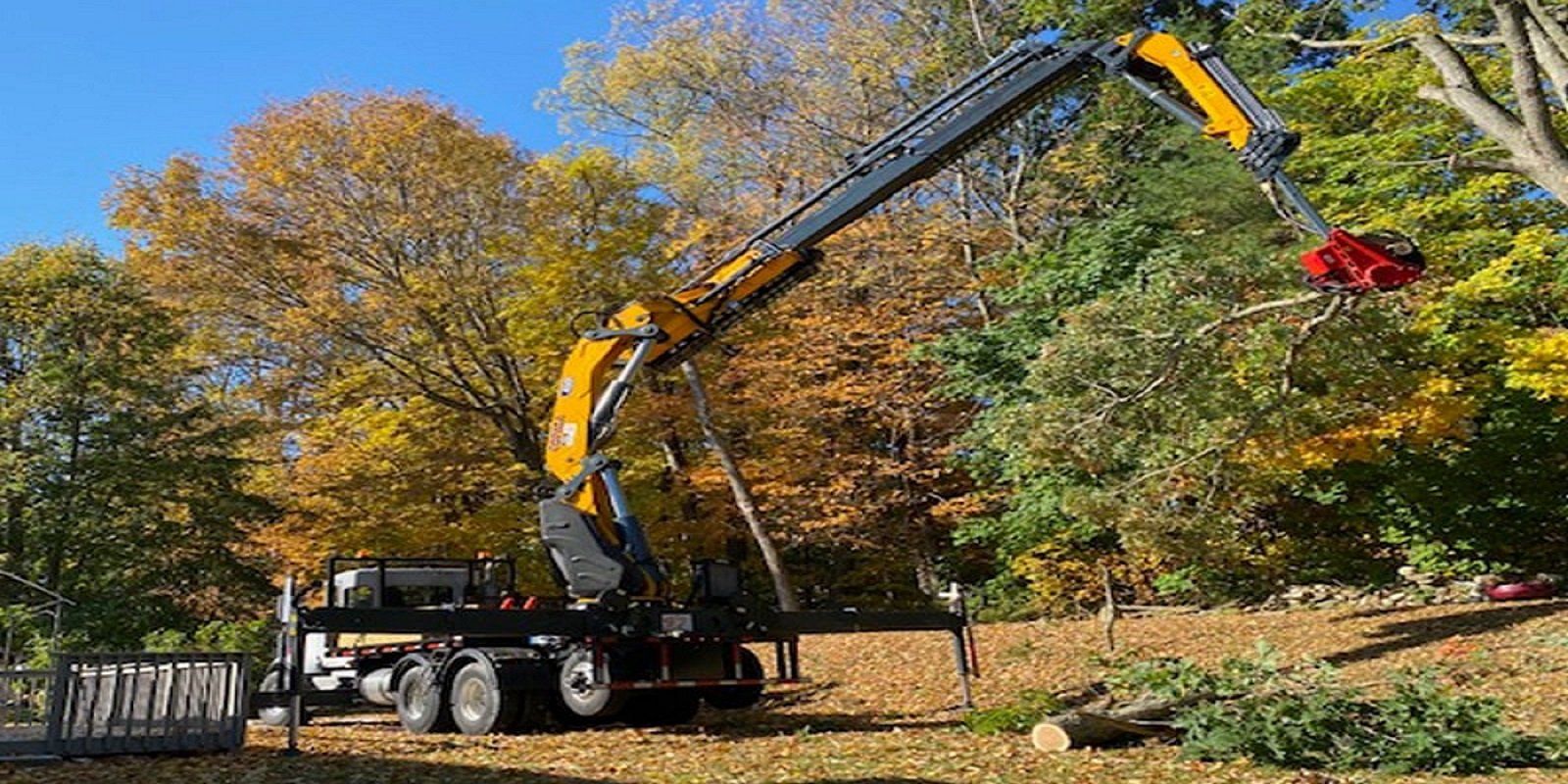 Read more about the article 6 Tree Removal Equipment That You Must Keep Handy