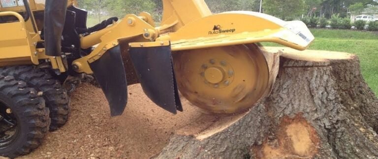 How & Why you can Properly Remove Tree Stumps and Trees From Your Property