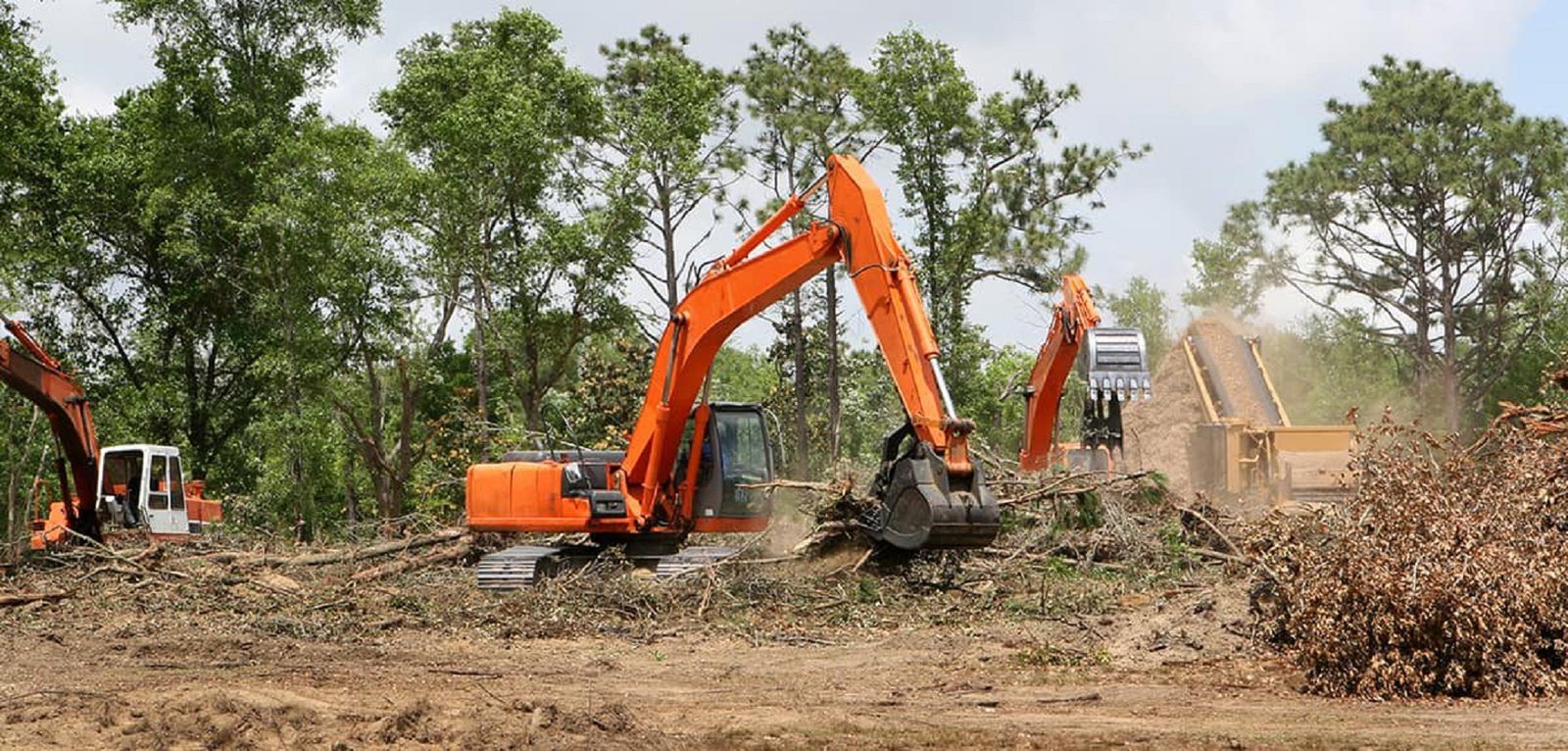 Read more about the article The Greatest Benefits you can get From Land Clearing Services