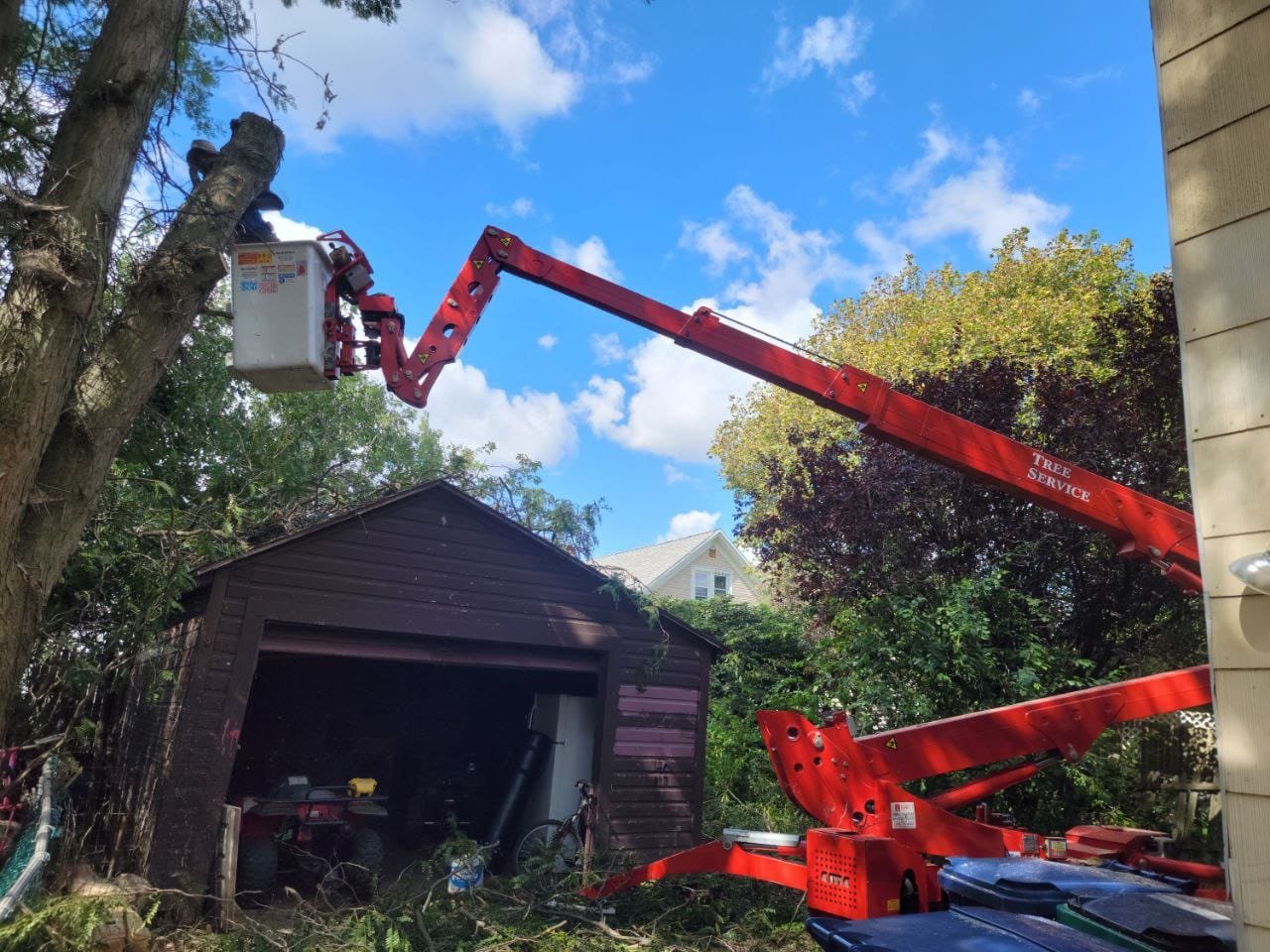 Read more about the article When is the Best Time for Tree Service in Rochester NY? Get a FREE QUOTE on Your First Call