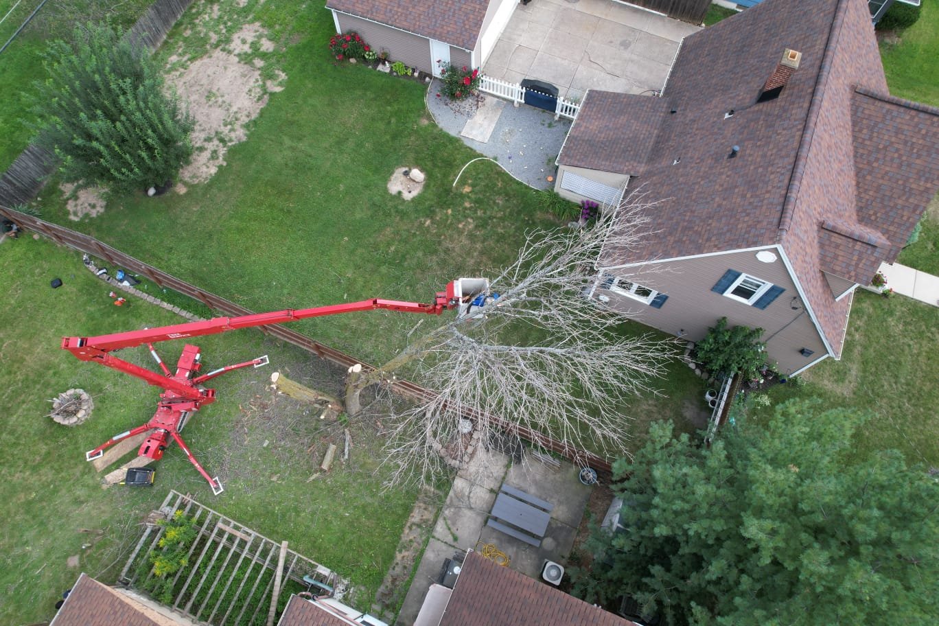 Read more about the article Handling Major Challenges in Tree Removals