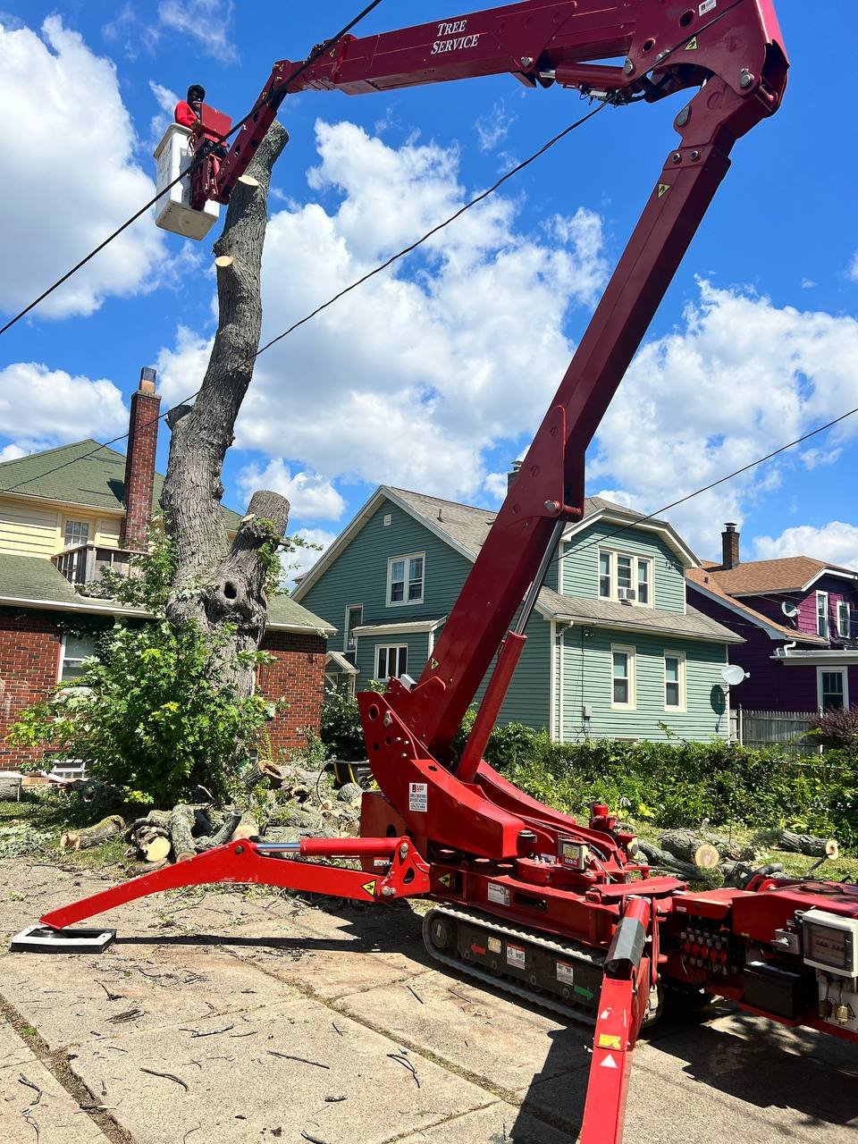 Read more about the article Tree Service in Rochester, NY: The Importance of Professional Care