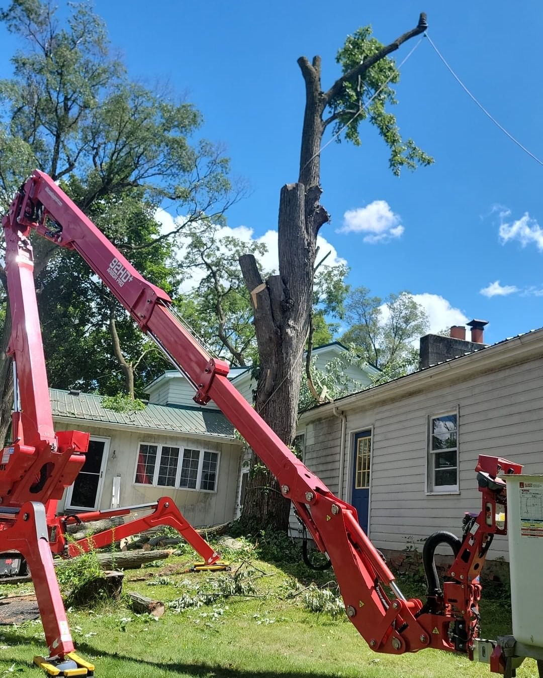Read more about the article Branch Specialists Rochester NY: Safeguarding Your Trees with Expert Tree Care and Emergency Services