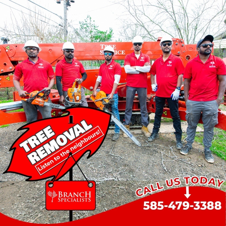 Branch Specialists Rochester NY