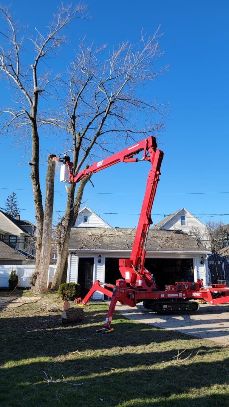 Professional Tree Care and Tree Removal Services in Rochester, NY