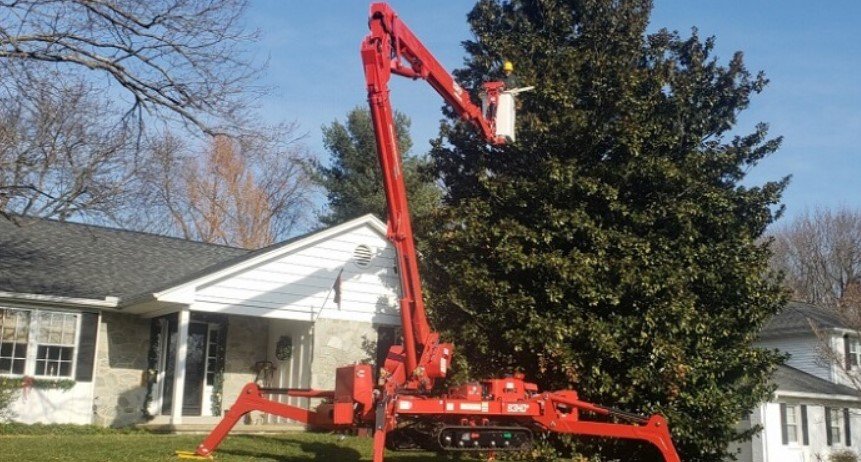 You are currently viewing Tree Services Rochester NY: Why Do You Need Tree Care Services?