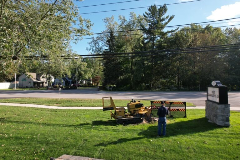 Safe and Quick Stump Removal in Rochester, NY