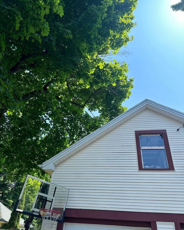 Tree Trimming Rochester NY: Is It OK to Cut the Top of a Tree?