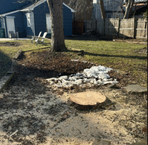 Stump Removal Fairport NY