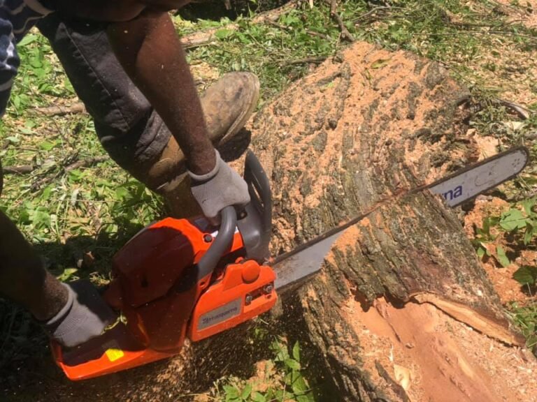 Stump Removal Hilton NY