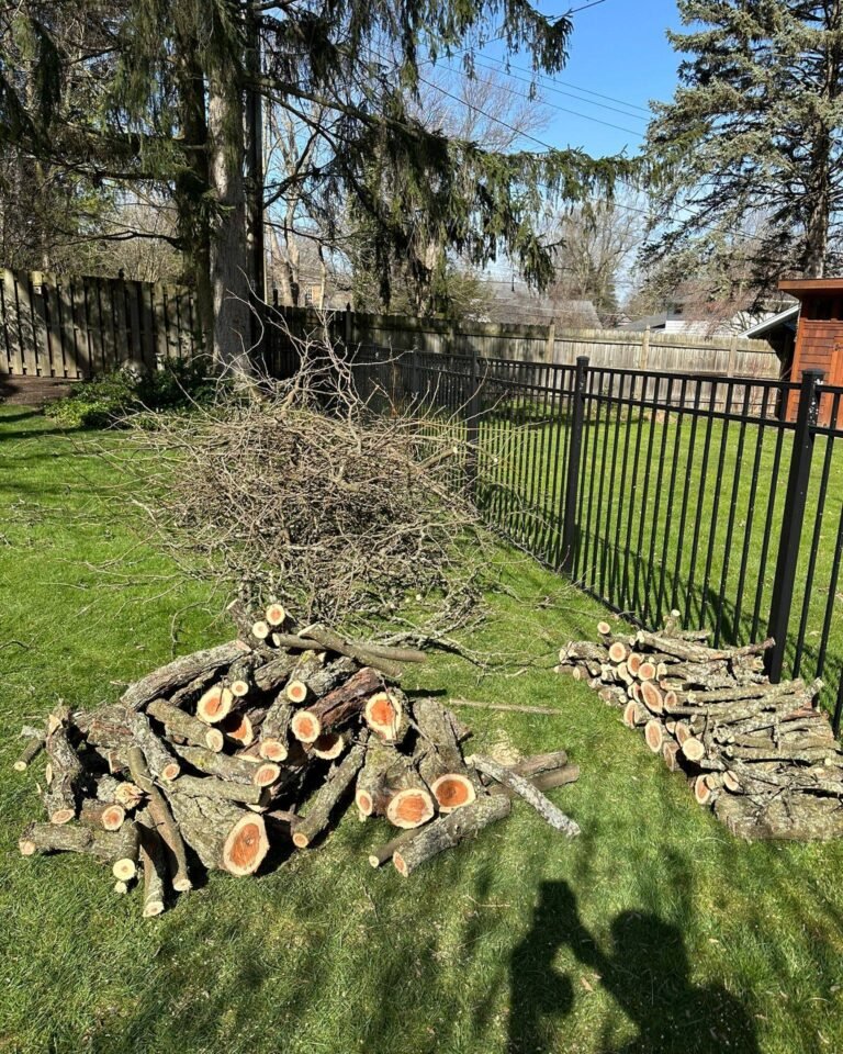 Tree Cutting Service Fairport NY