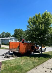 Tree Service