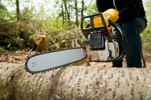 Tree Services in Rochester