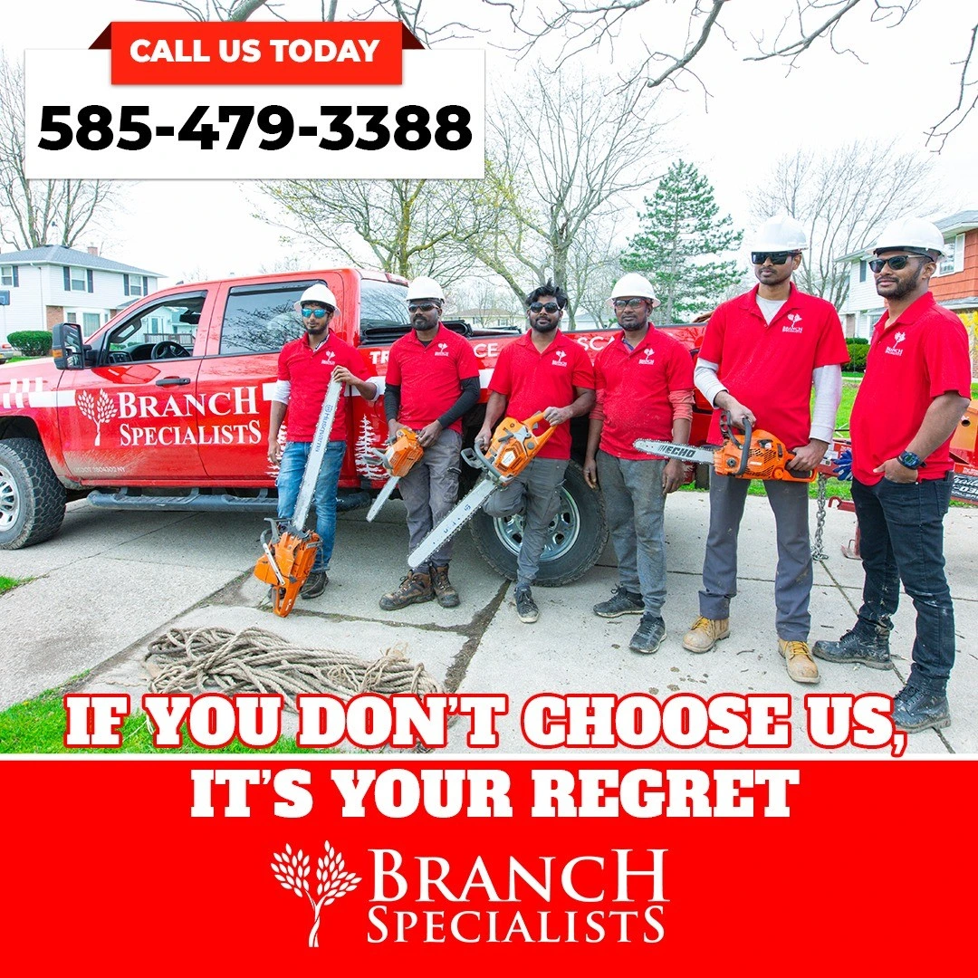 Branch-Specialists-Rochester-NY-1-1 (1)
