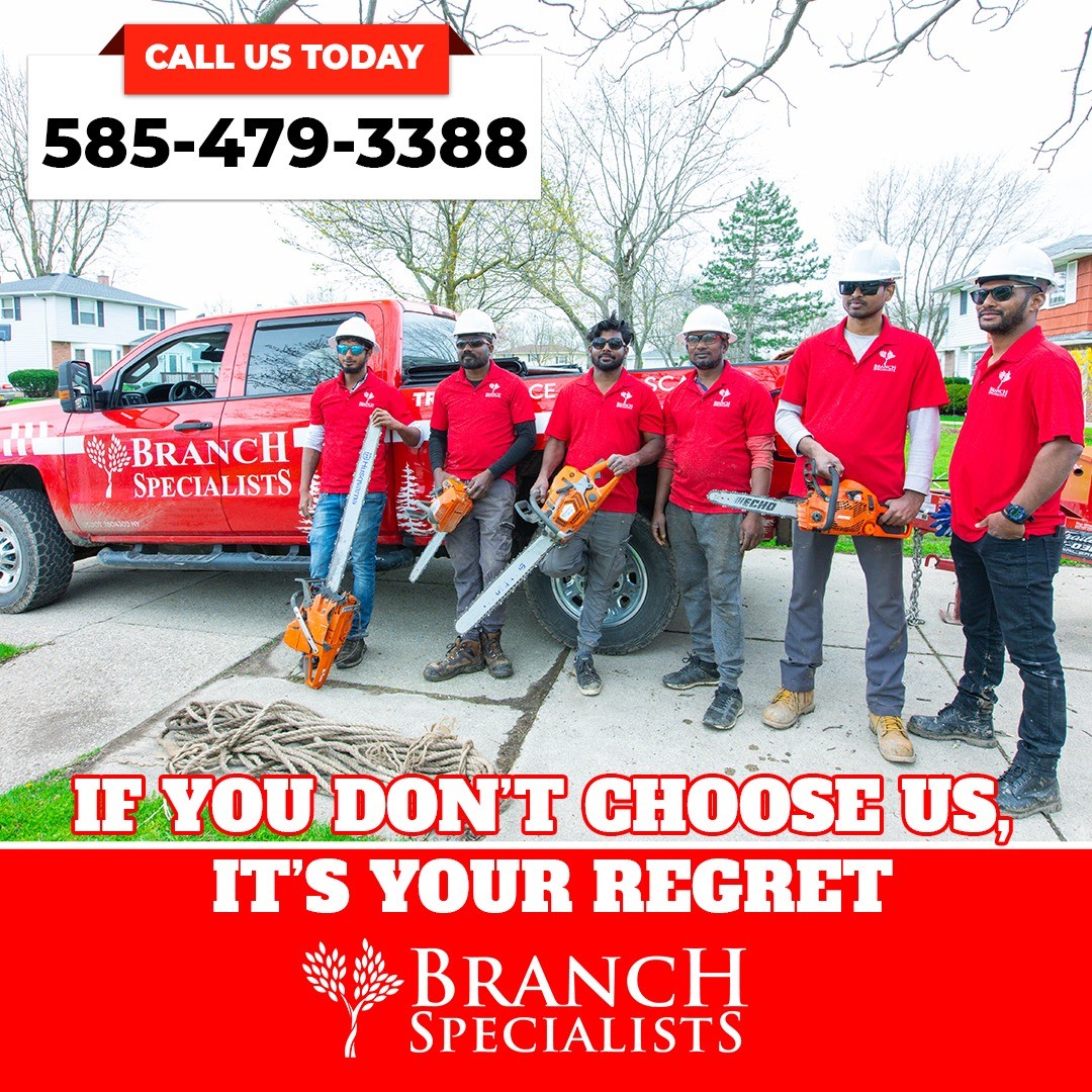 Branch-Specialists-Rochester-NY-1-1.jpeg