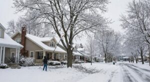 How Henrietta Homeowners Can Prevent Tree Falls During Heavy Snow: Winter tree care Henrietta NY