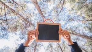 Pittsford Winter Tree Care Checklist for a Storm-Free Season