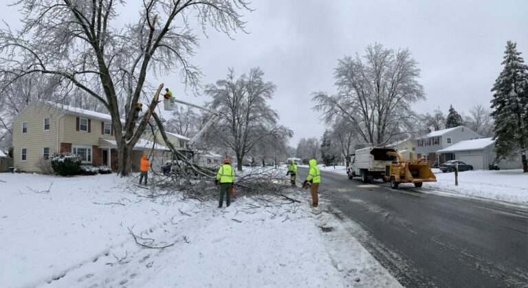 Why Professional Tree Services Are Essential After Winter Storms in Irondequoit, NY.
