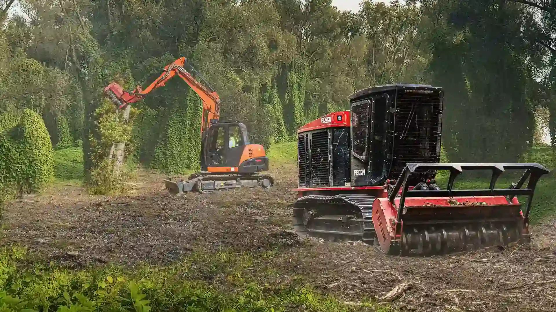 Choosing the Right Tree Service for Emergencies – Branch Specialists Rochester NY