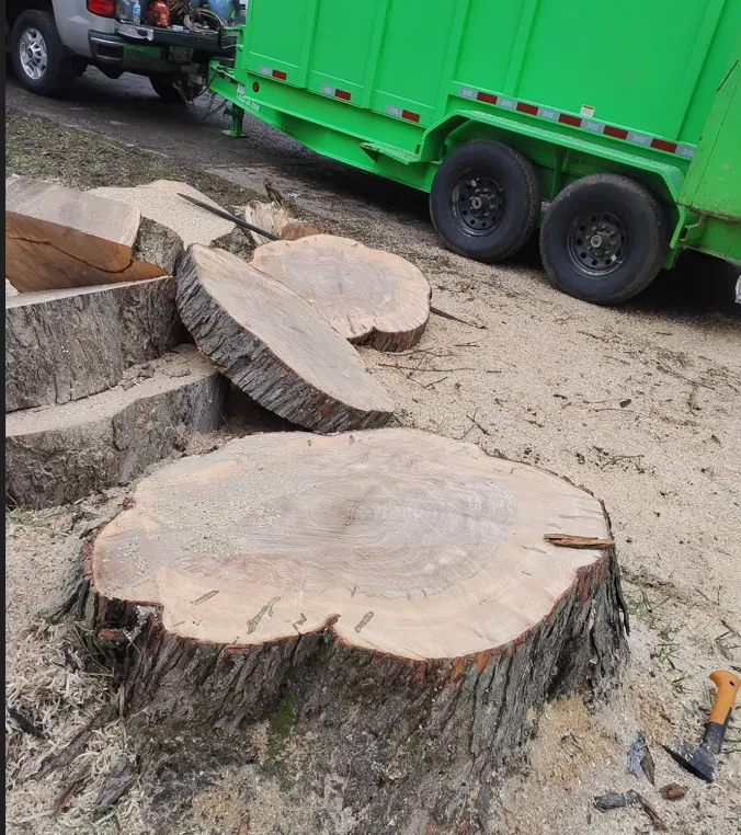 Tree removal logs loaded into Branch Specialists trailer on Holcroft Rd, Greece NY
