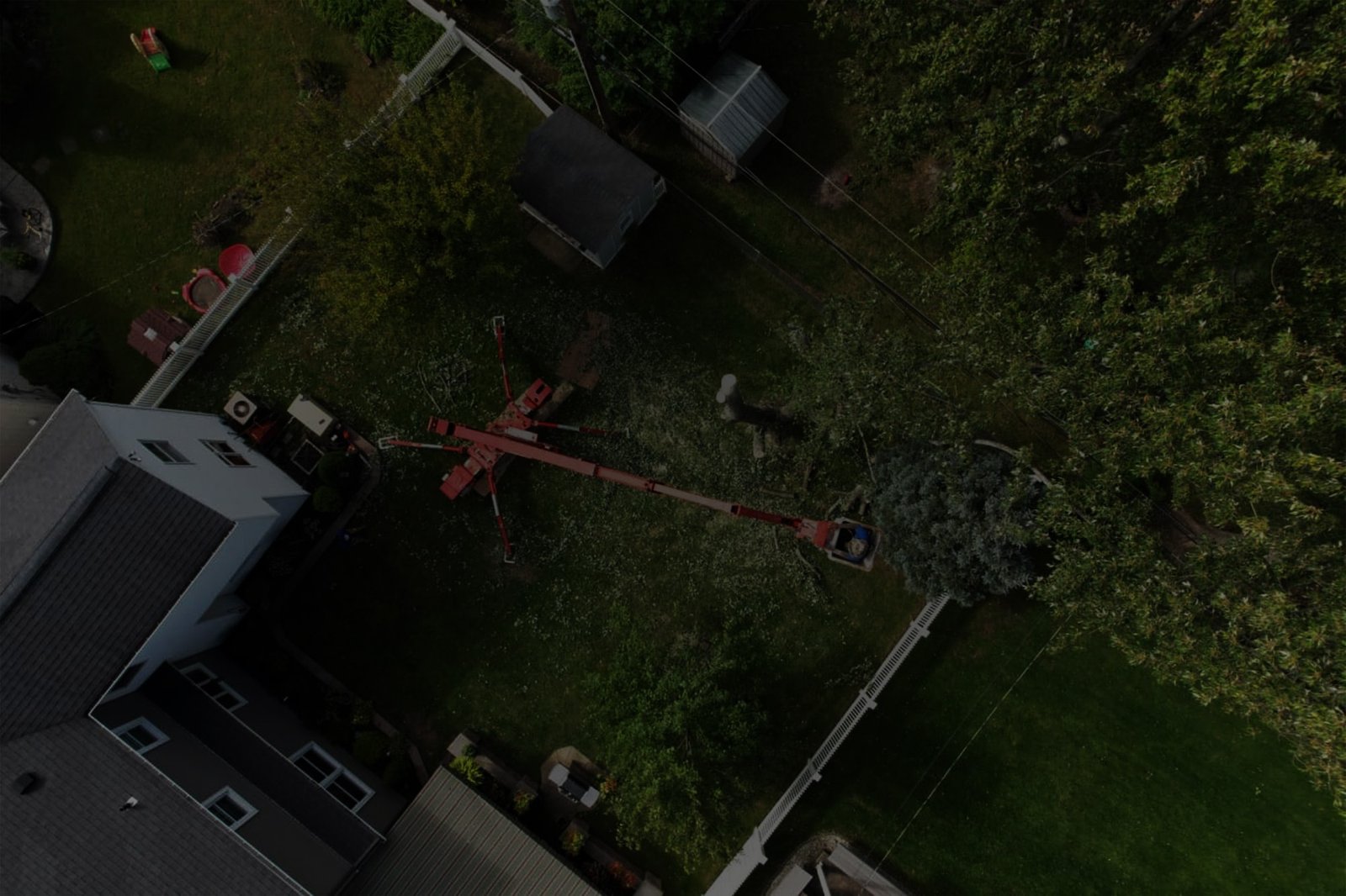 branch specialists